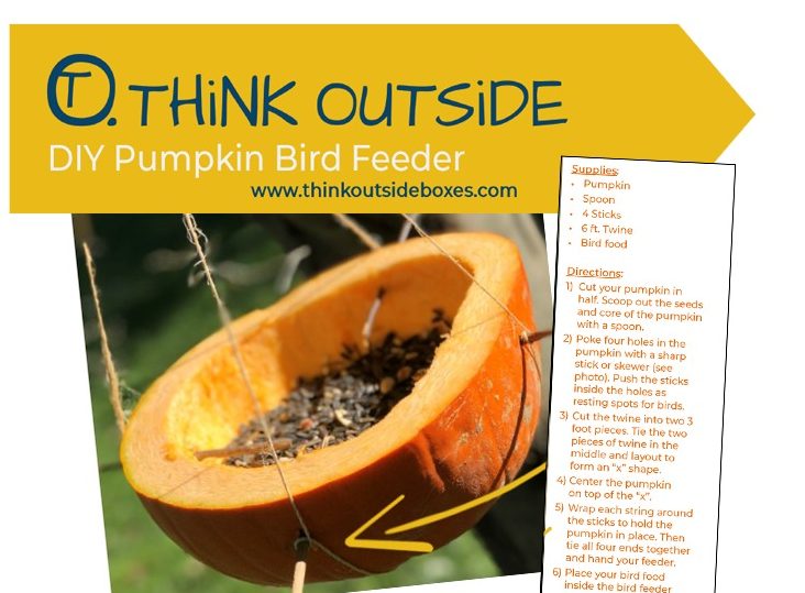 Easy! 6 Steps to Make a Pumpkin Bird Feeder with Your Troop