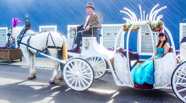 A very unique Ceremony With Your Troop - Magical night at the Cinderella Ball
