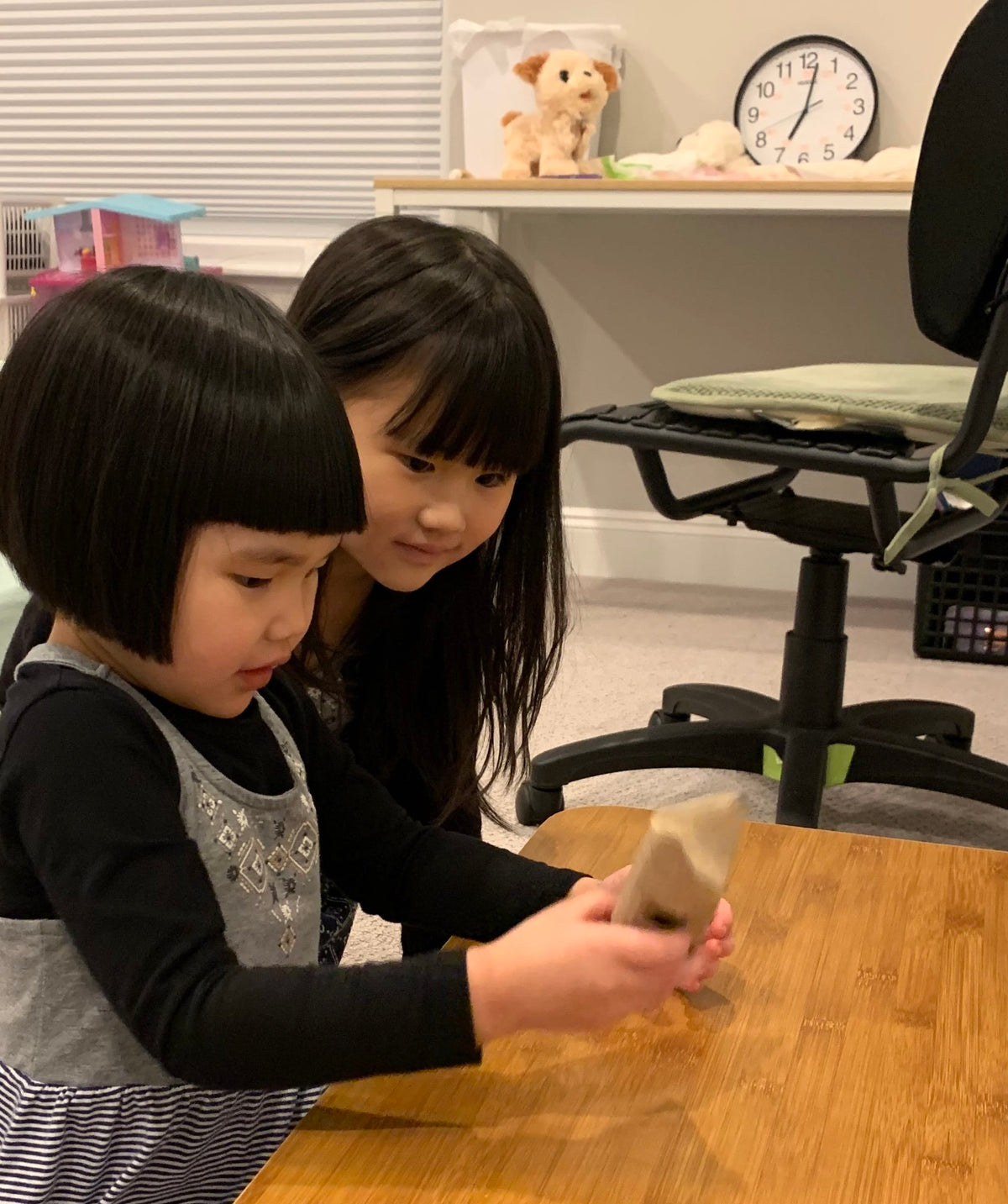 Virtual Workshops at PAWS for the Brownie Pets, Junior Animal Habitats, and Cadette Animal Helpers Badges