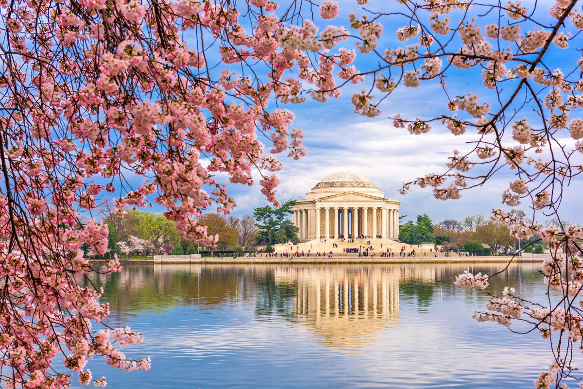 Teach Your Girls About Amazing Monuments In Washington D.C. Washington and Earn a Badge