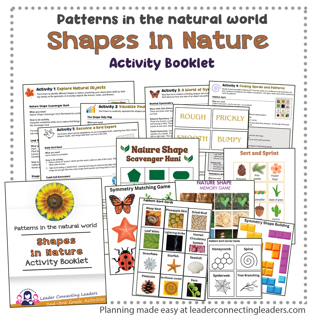 Shapes in Nature Activity Booklet for 2nd and 3rd Graders