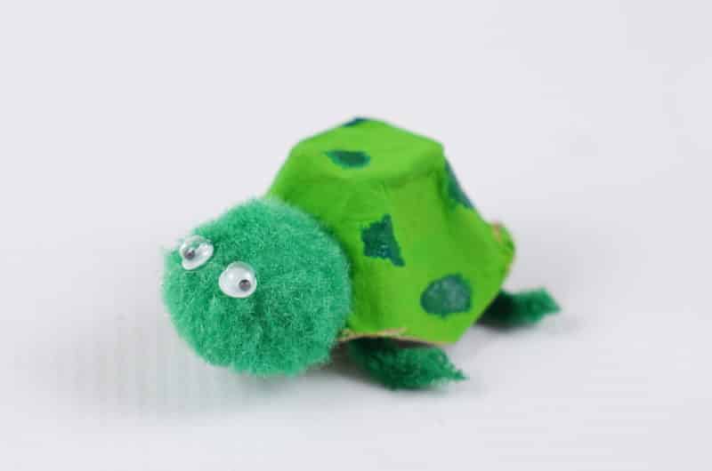 Turtle From Egg Carton