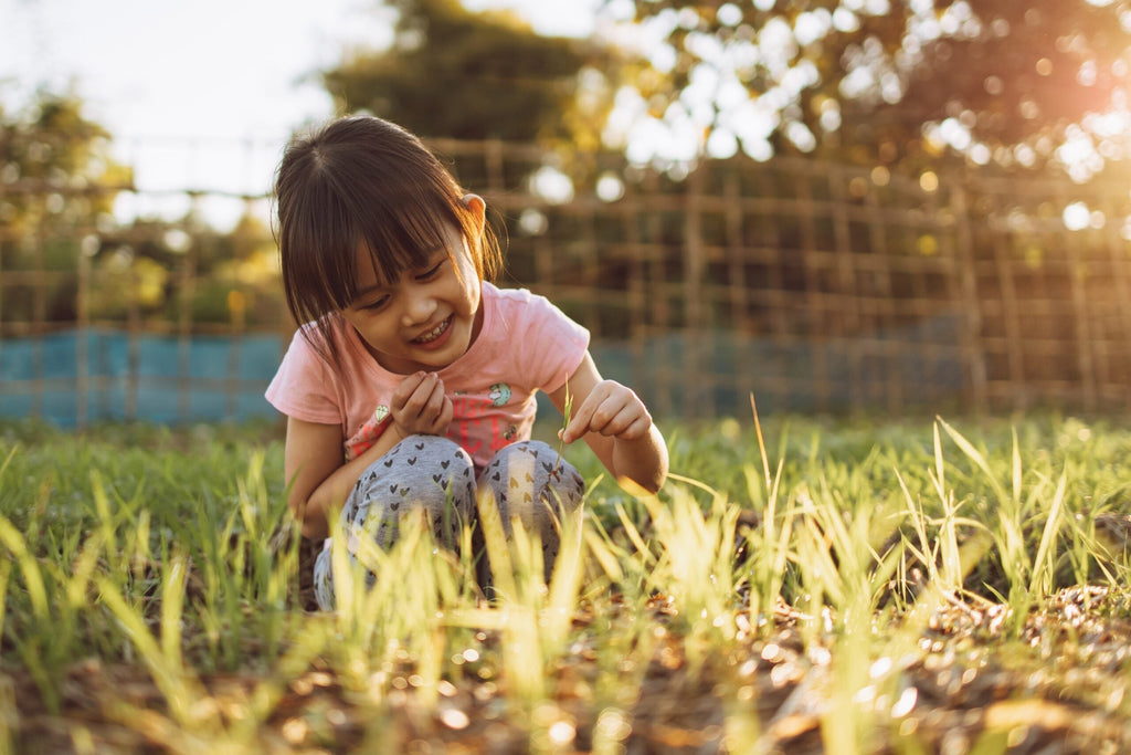5 Fun Activities to help you earn the Junior Gardener Badge