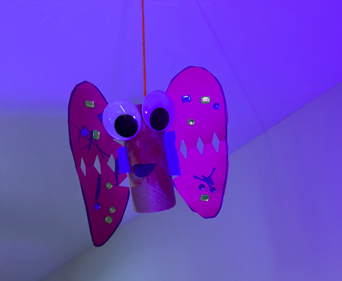 butterfly