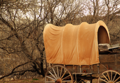 Wagon