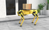 Designing Robots