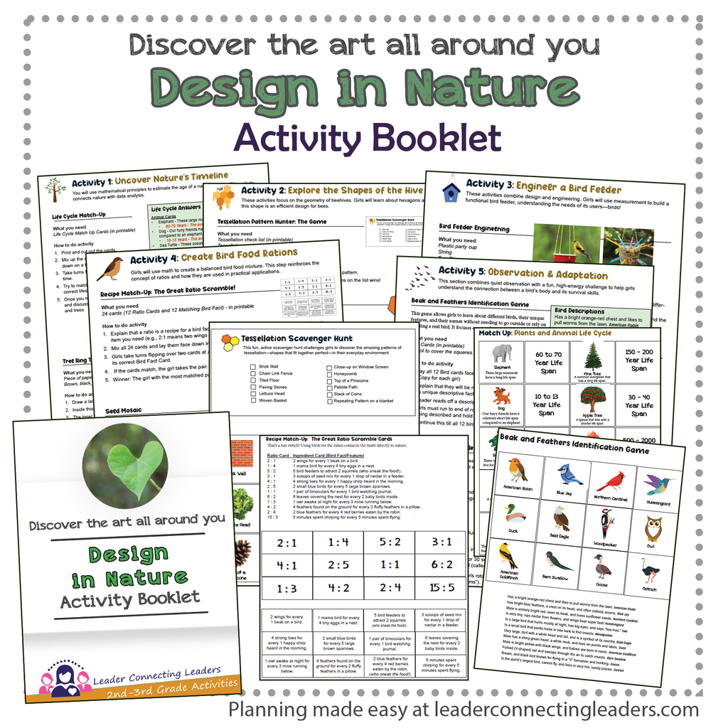 Designs in Nature Activity Booklet for 2nd and 3rd Graders